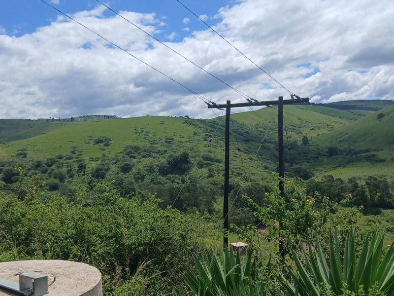 Land forsale - Photo 3