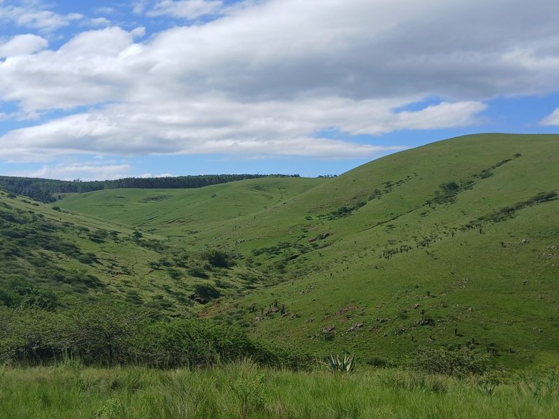 Land forsale - Photo 2