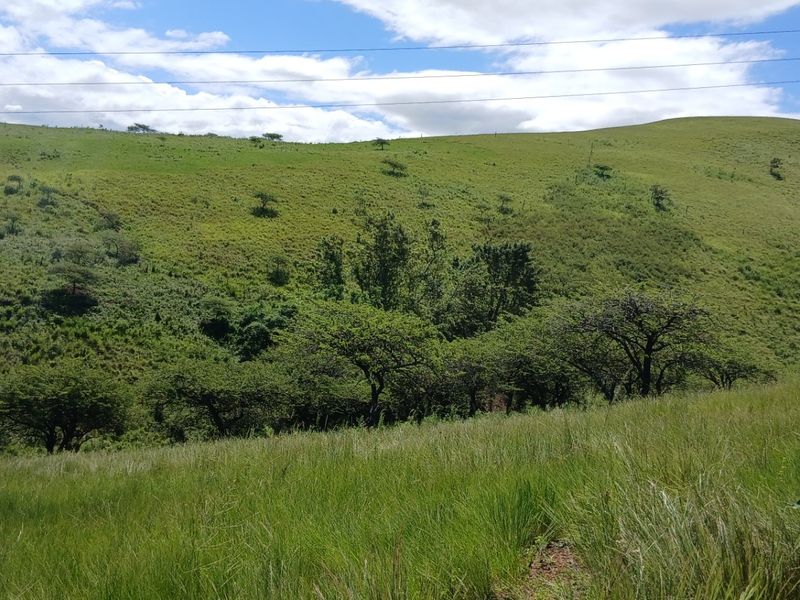 Land forsale - Photo 10