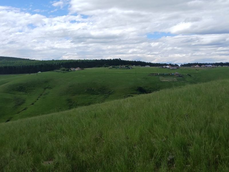 Land forsale - Photo 9