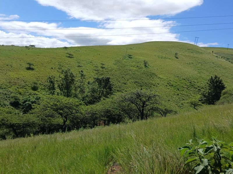 Land forsale - Photo 7