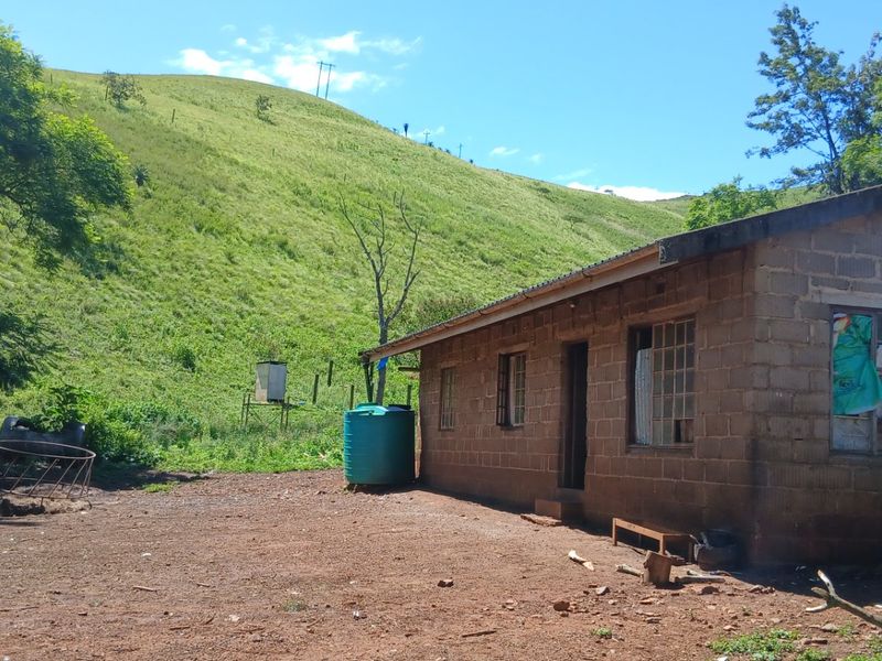 Land forsale - Photo 8