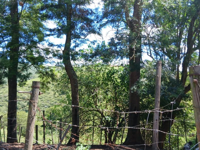 Land forsale - Photo 4