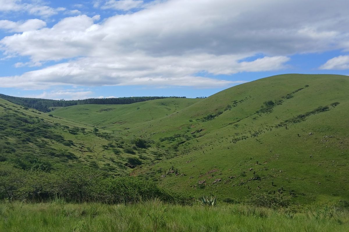 A scenic view of rolling green hills and natural landscape typical of the farm property.