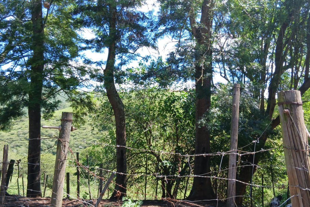 A view of the surrounding farm landscape featuring mature trees and a rustic barbed wire fence boundary.