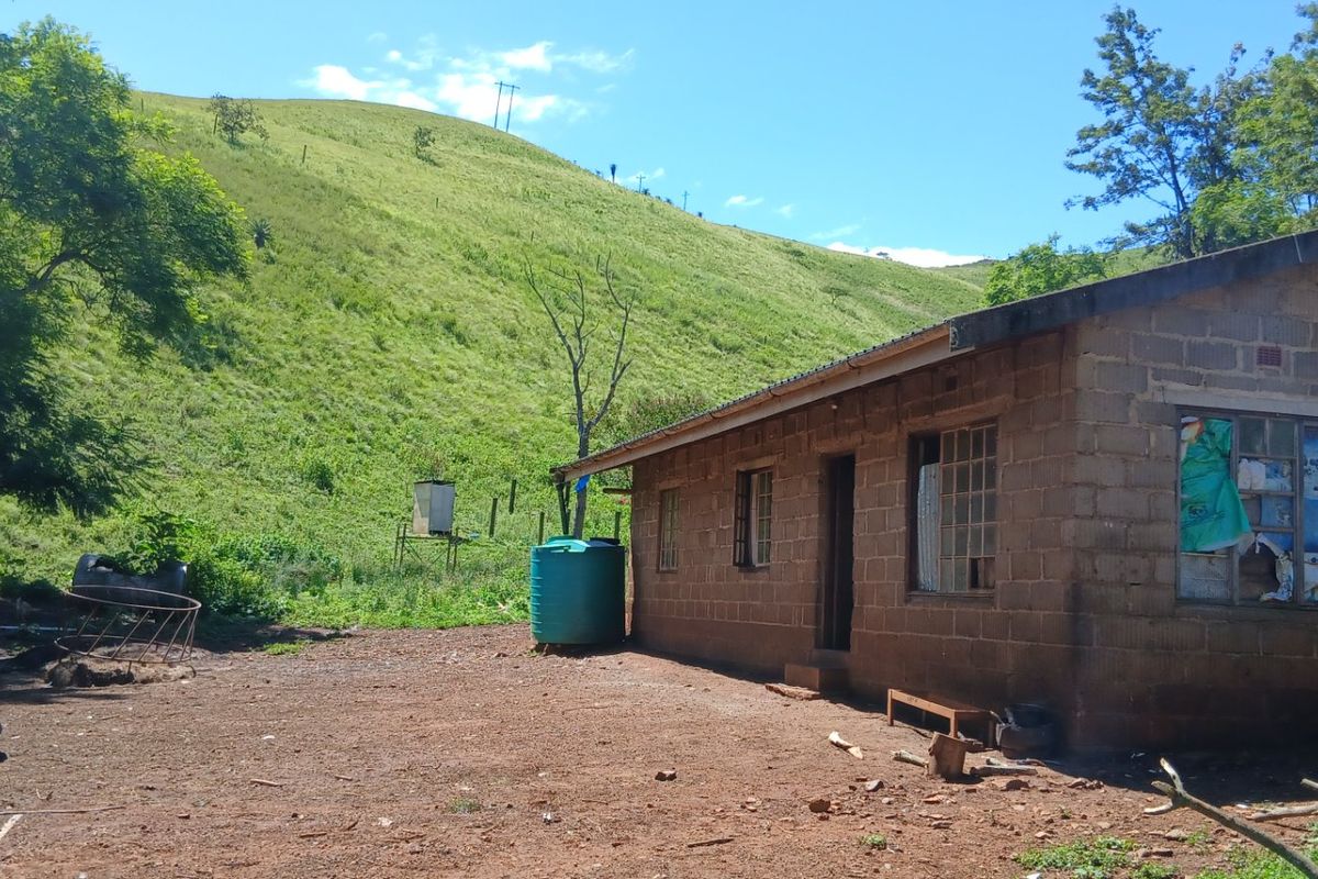 Rear view of a simple concrete block farm dwelling featuring a corrugated metal roof, water tank, and surrounding rural landscape.