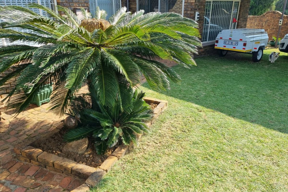 Spacious Family / Investment  Property For Sale In The Reeds  - Photo 5