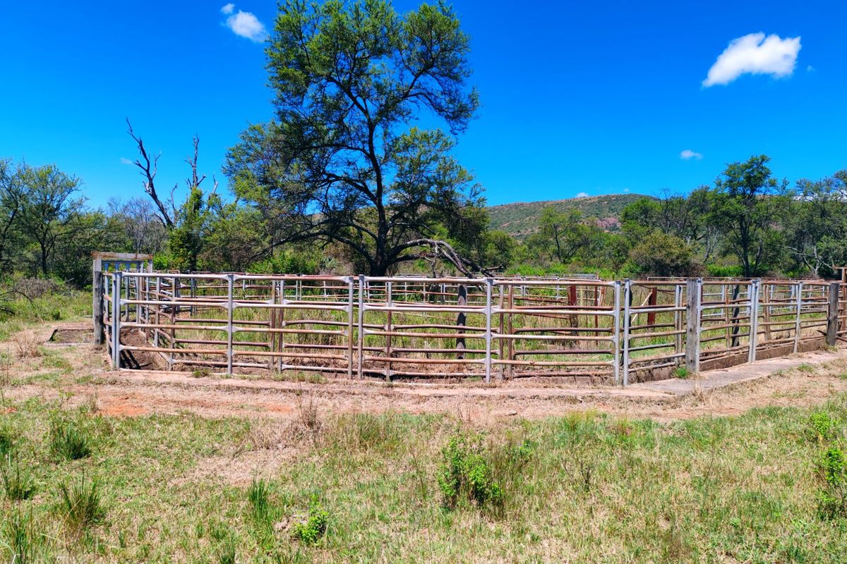 Farm for sale,Modimolle - Photo 4