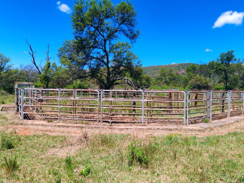 Farm for sale,Modimolle - Photo 4