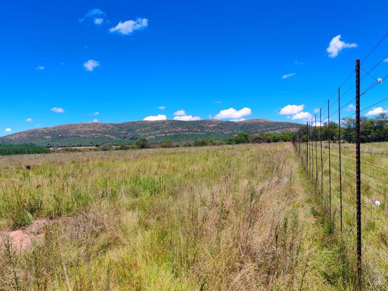 Farm for sale,Modimolle - Photo 5
