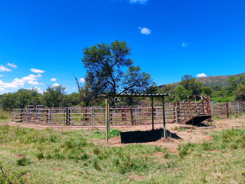 Farm for sale,Modimolle - Photo 9