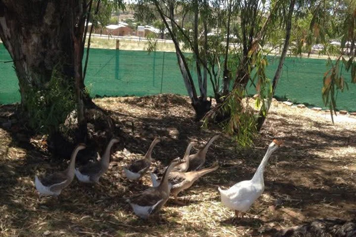 Investment Home in Smithfield, Free State - Photo 3