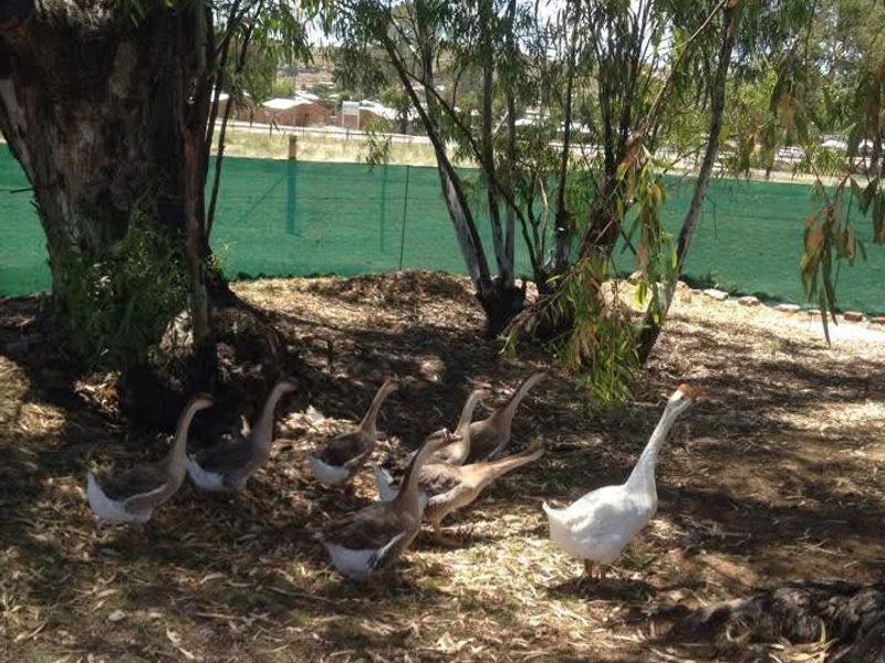 Investment Home in Smithfield, Free State - Photo 3