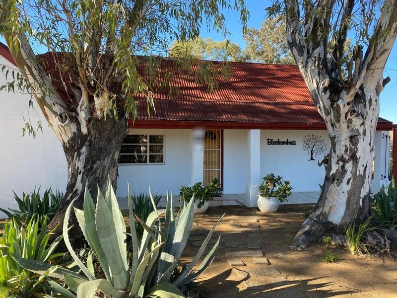 Investment Home in Smithfield, Free State - Photo 1