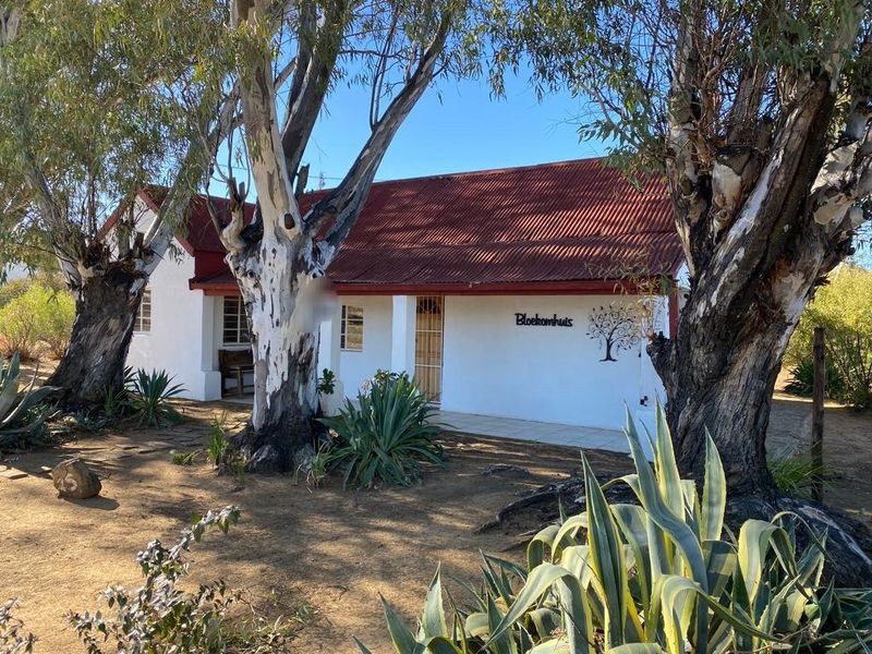 Investment Home in Smithfield, Free State - Photo 2