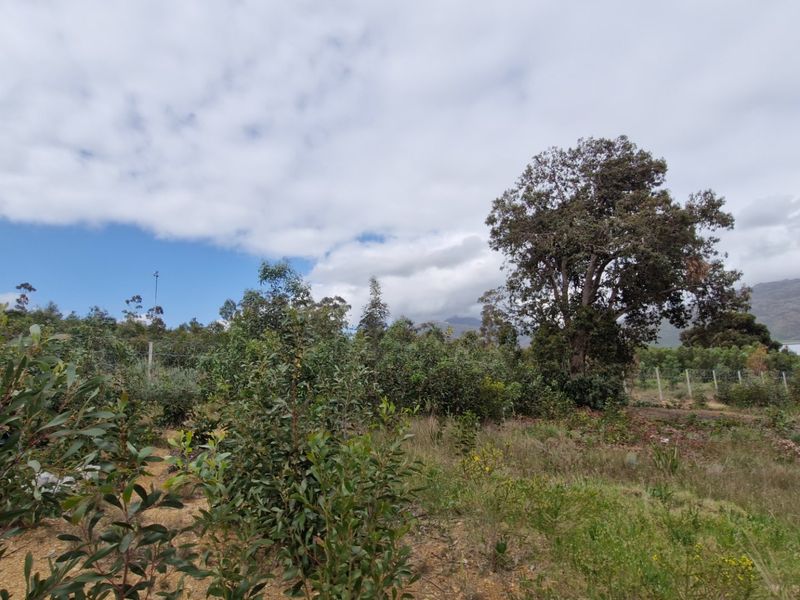 A view of the vacant residential land featuring mature trees, natural vegetation, and perimeter wire fencing against a mountain backdrop.