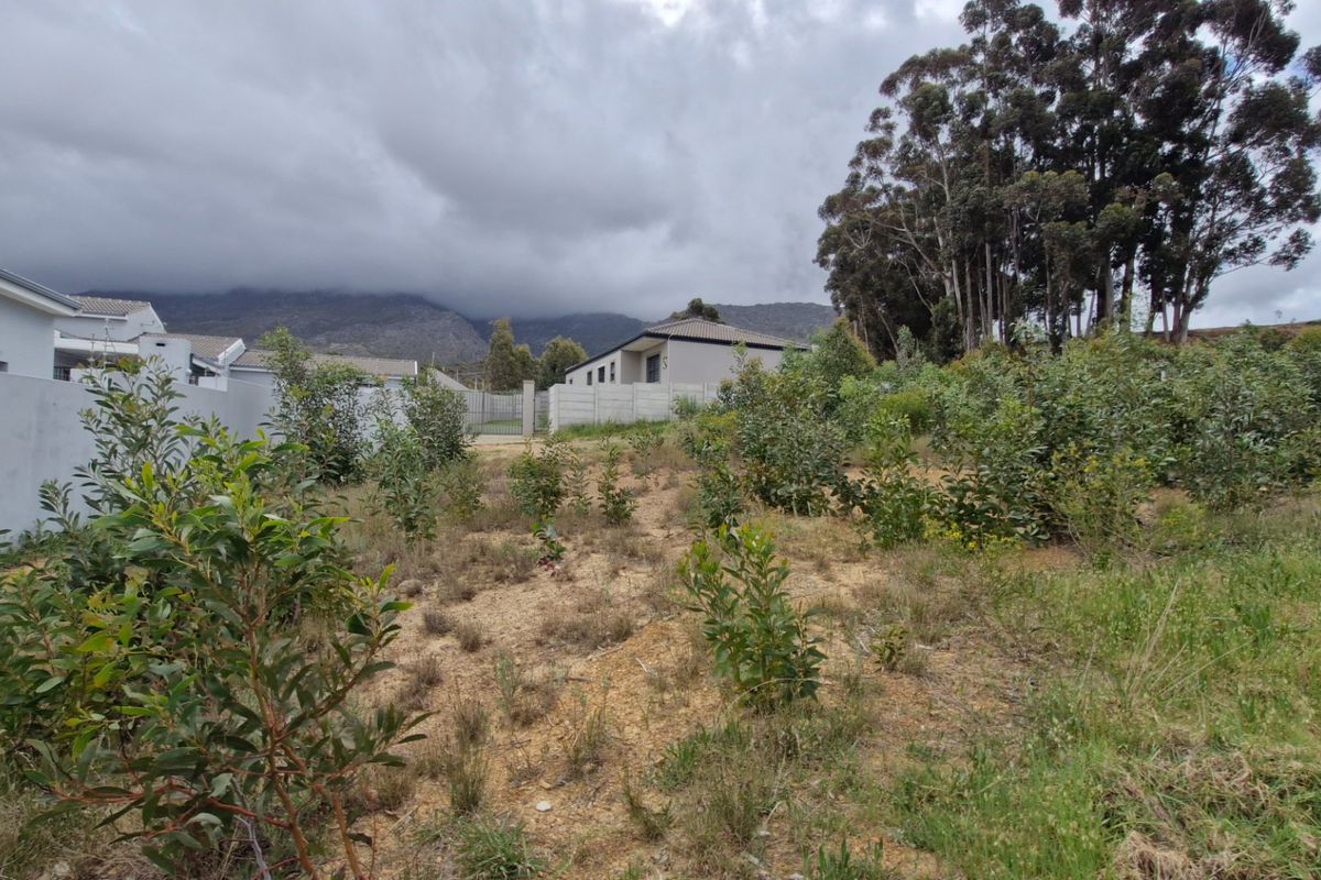 A view of a vacant residential plot featuring natural vegetation, boundary walls, and surrounding residential properties with mountain views in the background.
