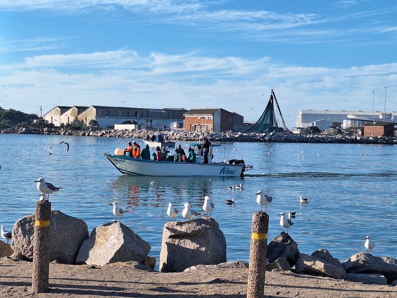 3 Bedroom house or sale Harbour Lights St Helena Bay - Photo 10