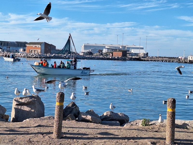 3 Bedroom house or sale Harbour Lights St Helena Bay - Photo 9