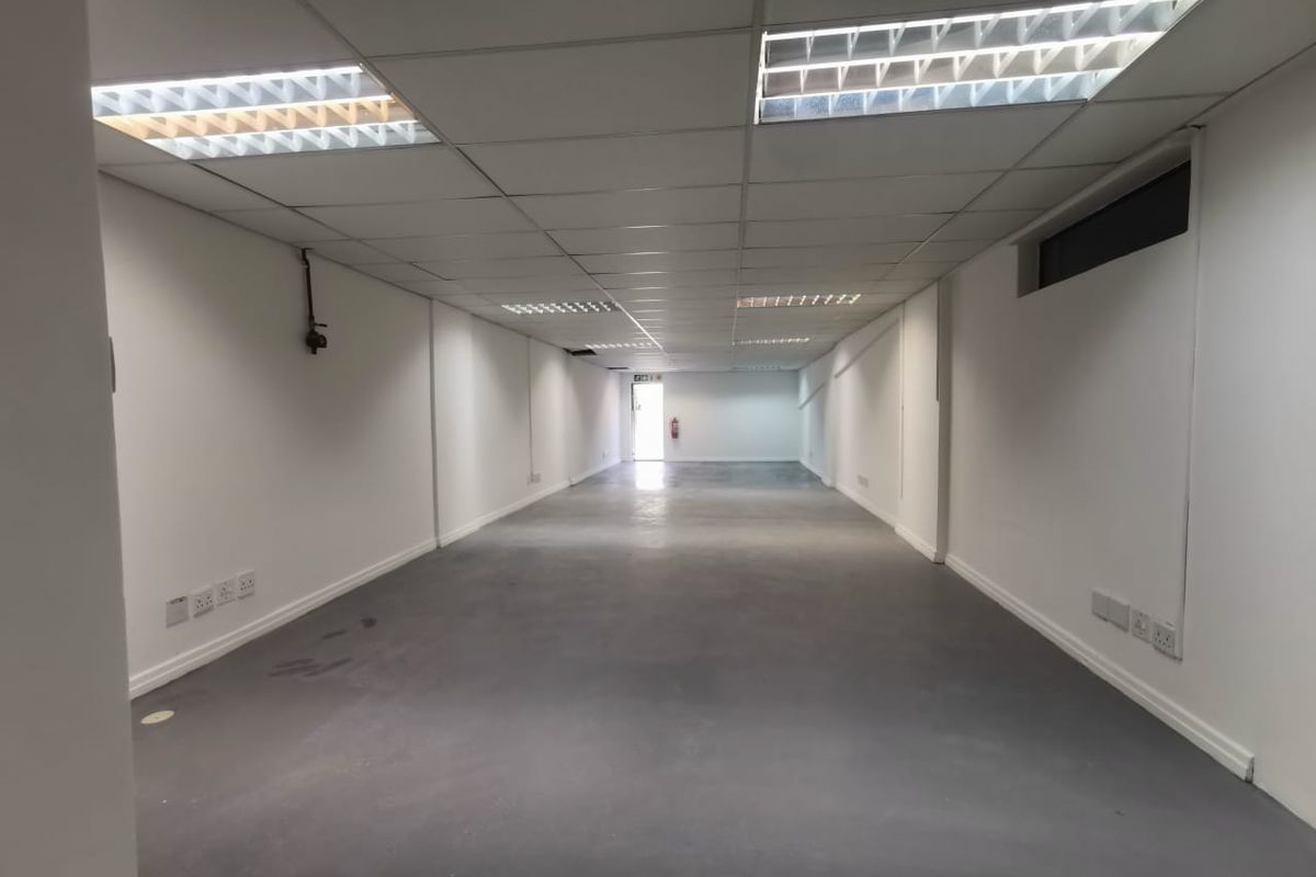 A spacious, empty commercial office area featuring a suspended ceiling, recessed lighting, and durable painted concrete flooring, suitable for various business configurations.