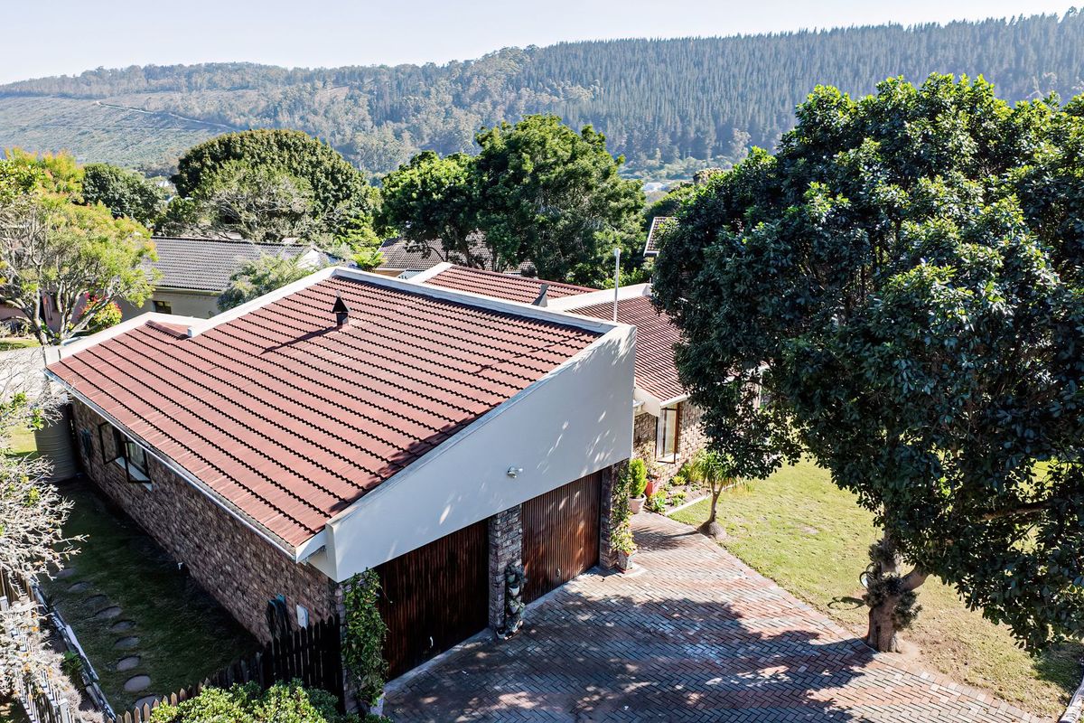 Light-Filled Family Home in Quiet Residential Street - Photo 2