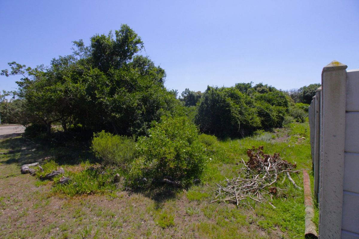 Level Vacant Stand in Quiet Cul-de-Sac  - Photo 5