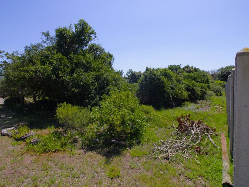 Level Vacant Stand in Quiet Cul-de-Sac  - Photo 5