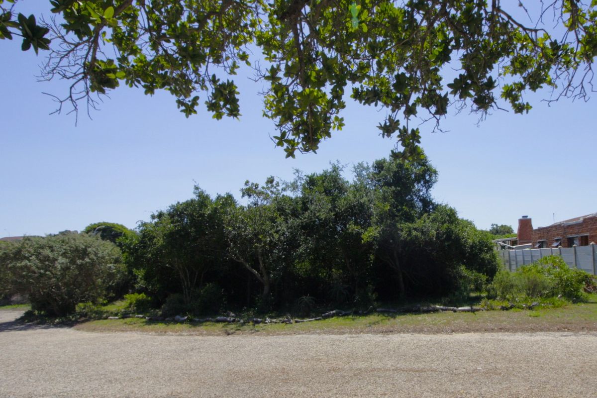 Level Vacant Stand in Quiet Cul-de-Sac  - Photo 2