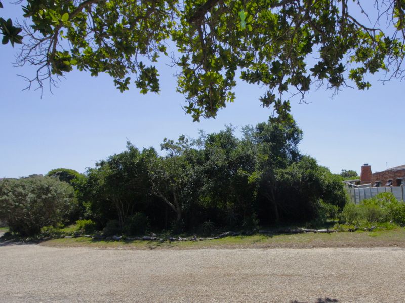 Level Vacant Stand in Quiet Cul-de-Sac  - Photo 2