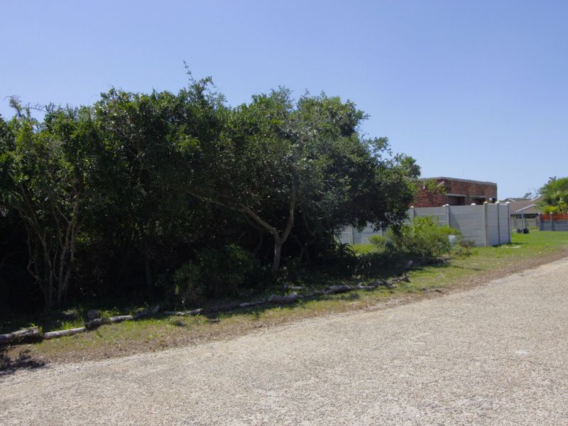 Level Vacant Stand in Quiet Cul-de-Sac  - Photo 4