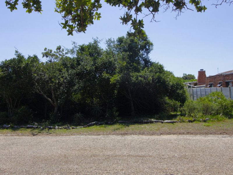 Level Vacant Stand in Quiet Cul-de-Sac  - Photo 3