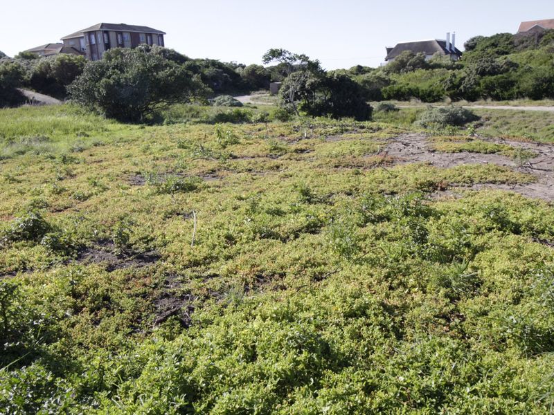 Well situated vacant plot - Photo 6