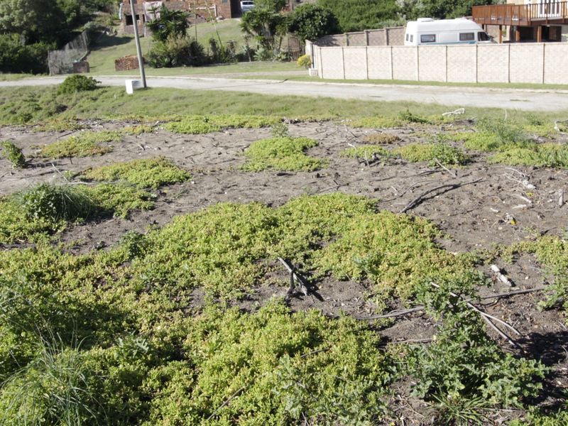 Well situated vacant plot - Photo 7