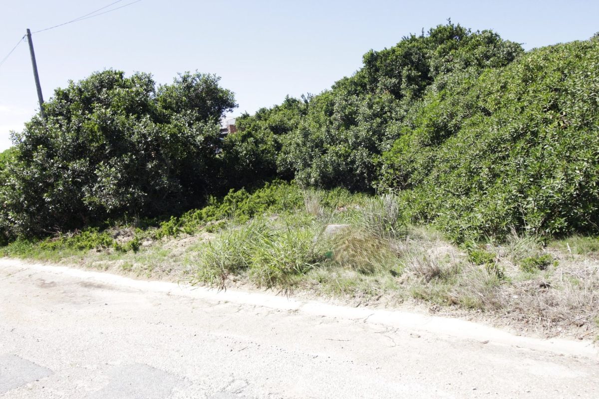 Spacious Vacant Stand in Tranquil Coastal Setting - Photo 3