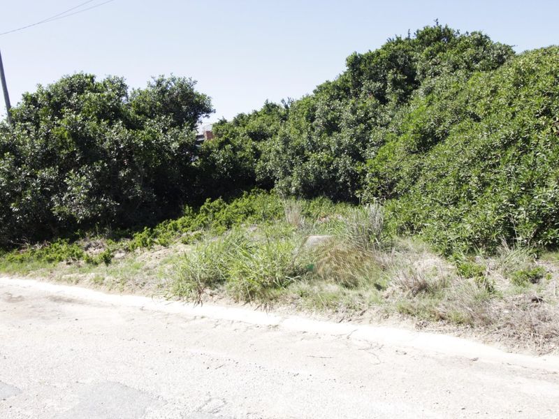 Spacious Vacant Stand in Tranquil Coastal Setting - Photo 3