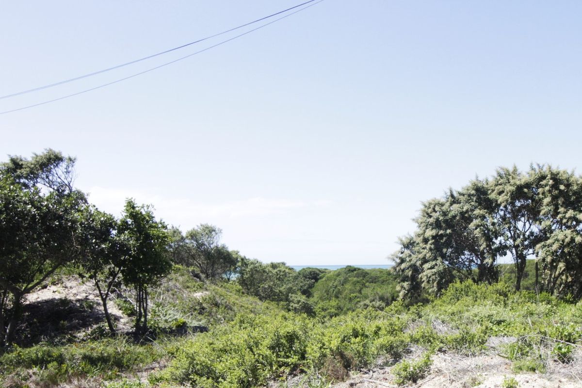 Spacious Vacant Stand in Tranquil Coastal Setting - Photo 2