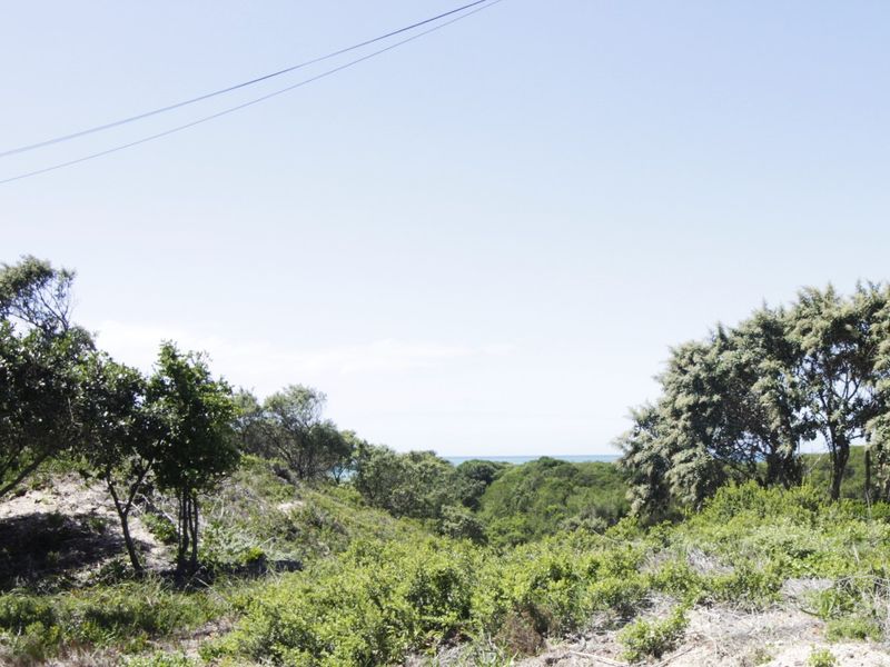 Spacious Vacant Stand in Tranquil Coastal Setting - Photo 2