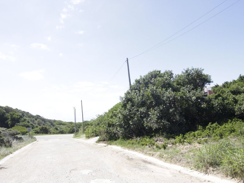 Spacious Vacant Stand in Tranquil Coastal Setting - Photo 5