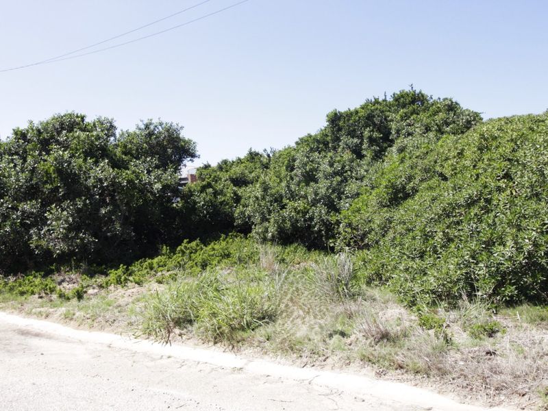 Spacious Vacant Stand in Tranquil Coastal Setting - Photo 4