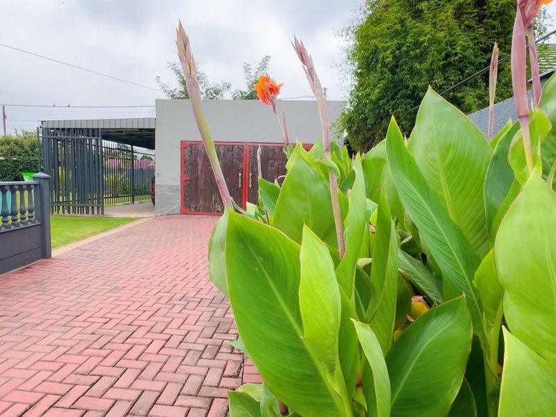 Room to live, room to work in Risiville - Photo 8