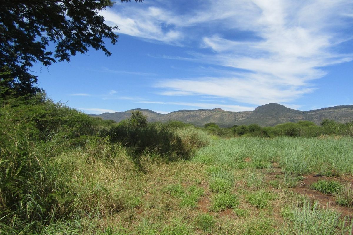 A scenic view of the vacant residential land featuring natural grass, indigenous vegetation, and a distant mountain range under a clear blue sky.