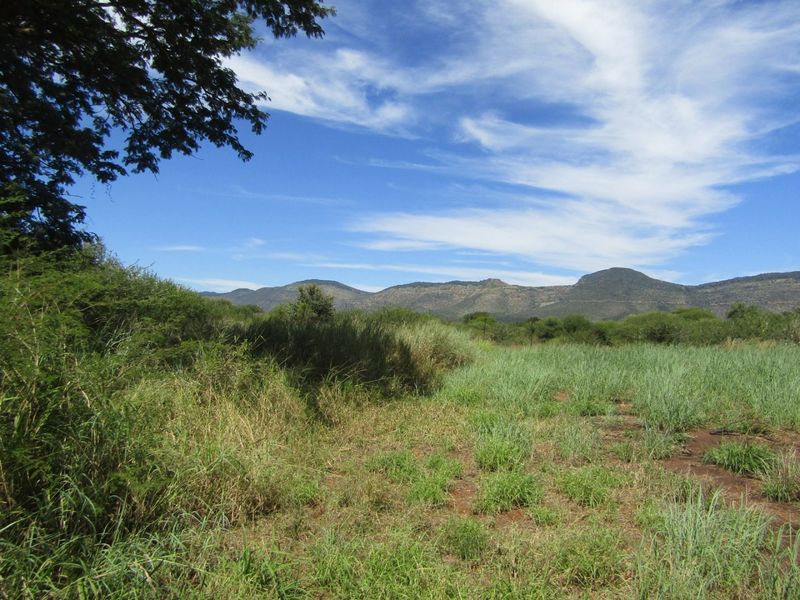 A scenic view of the vacant residential land featuring natural grass, indigenous vegetation, and a distant mountain range under a clear blue sky.