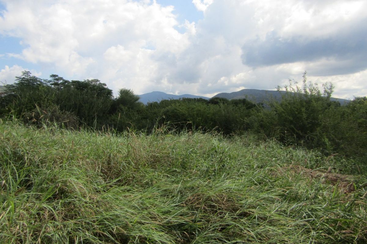 A scenic view of the natural landscape featuring rolling hills and dense vegetation under a cloudy sky.