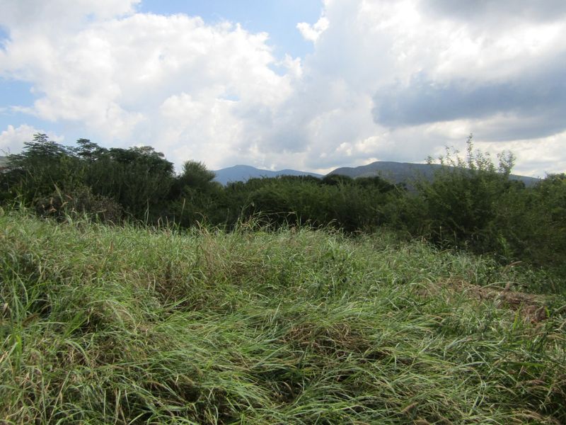 A scenic view of the natural landscape featuring rolling hills and dense vegetation under a cloudy sky.