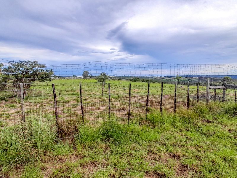Farm for Sale – East London Rural | R3,500,000 | 9.3 ha - Photo 5