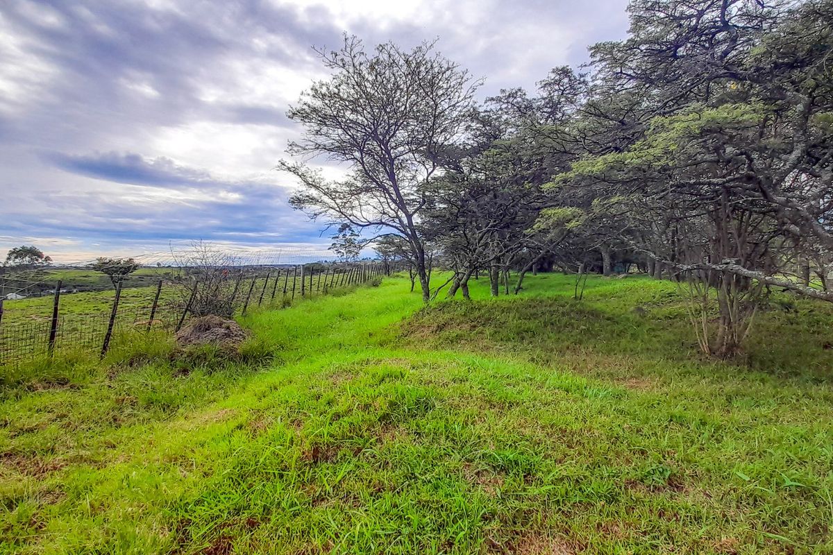 Farm for Sale – East London Rural | R3,500,000 | 9.3 ha - Photo 3