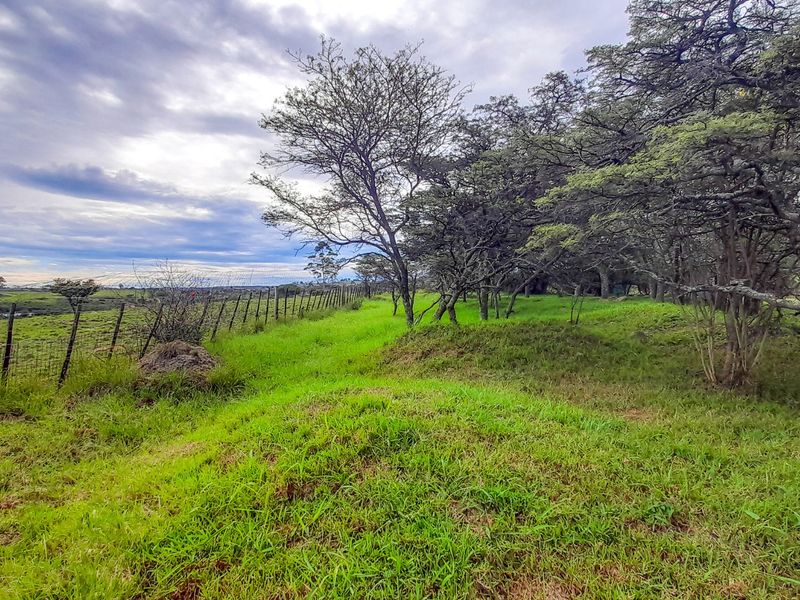 Farm for Sale – East London Rural | R3,500,000 | 9.3 ha - Photo 3