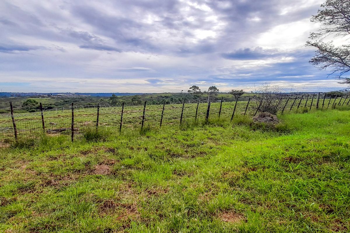 Farm for Sale – East London Rural | R3,500,000 | 9.3 ha - Photo 4