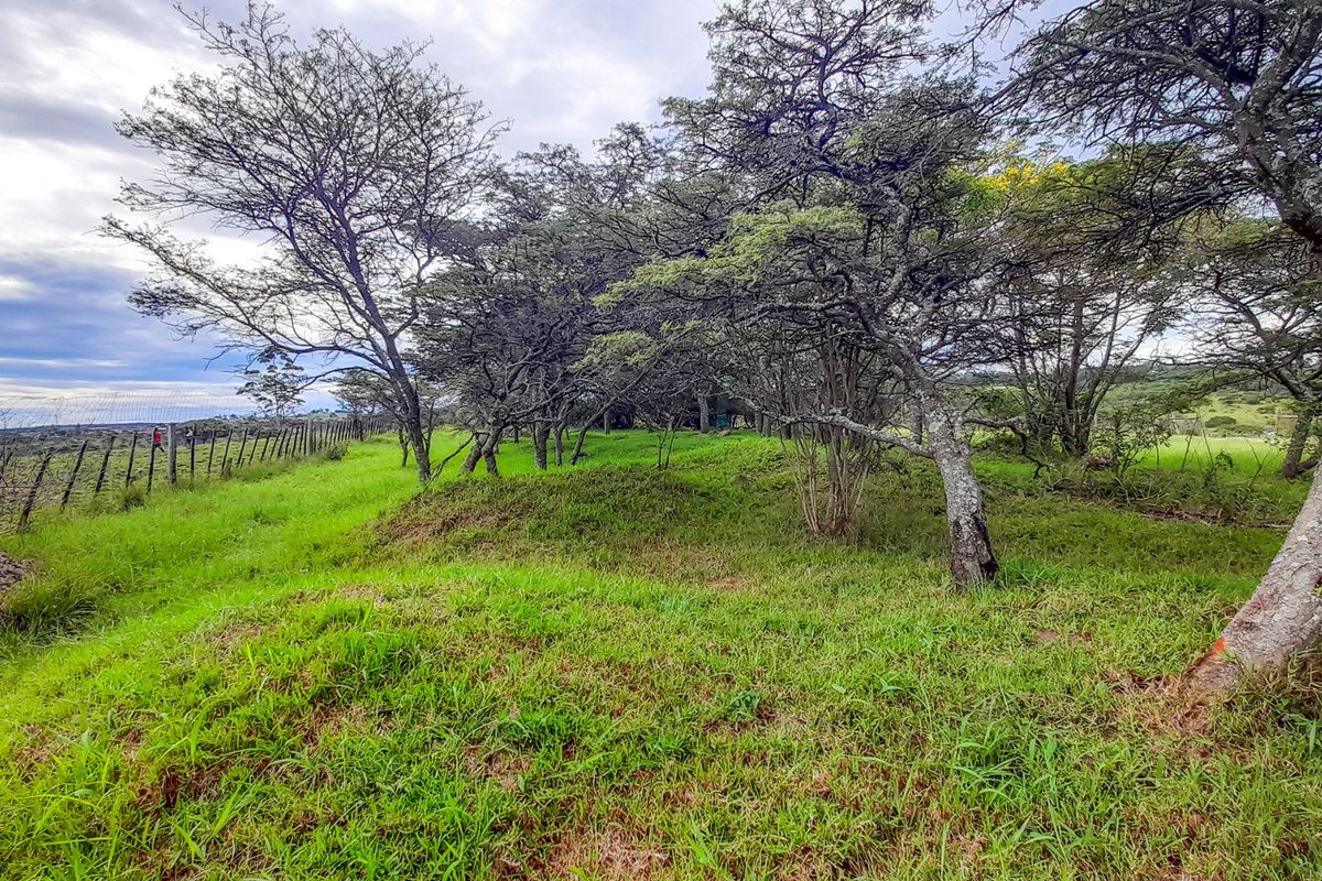 Farm for Sale – East London Rural | R3,500,000 | 9.3 ha - Photo 2