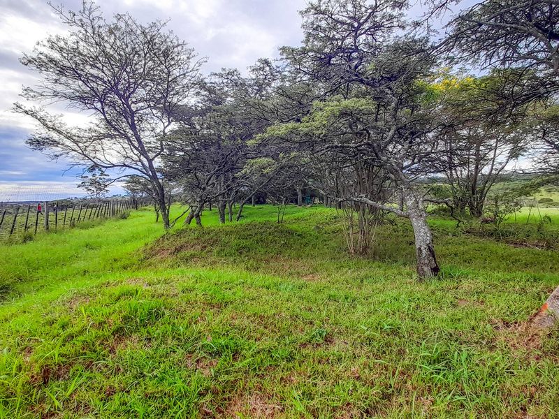 Farm for Sale – East London Rural | R3,500,000 | 9.3 ha - Photo 2